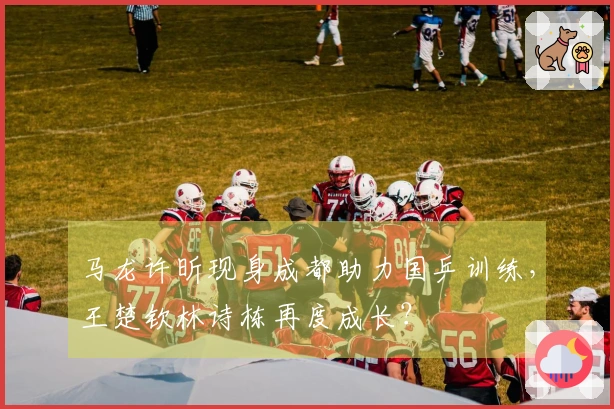 马龙许昕现身成都助力国乒训练，王楚钦林诗栋再度成长？